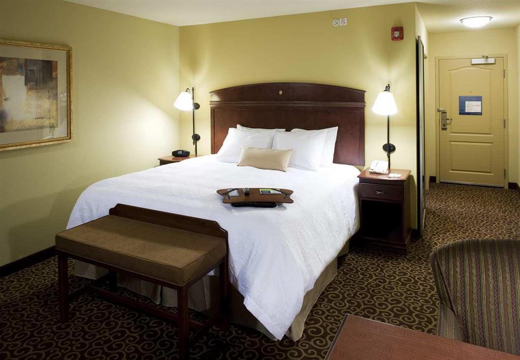Hampton Inn & Suites Rochester-North Habitación foto